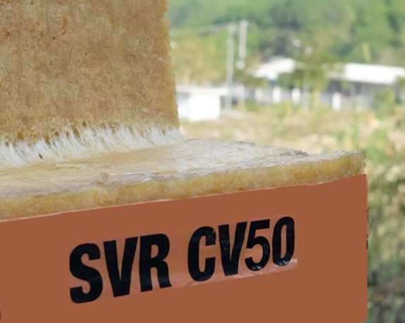 SVR CV50